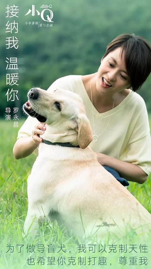 岐阜薬科大学ElectronicEngineeringDegreeCertificate